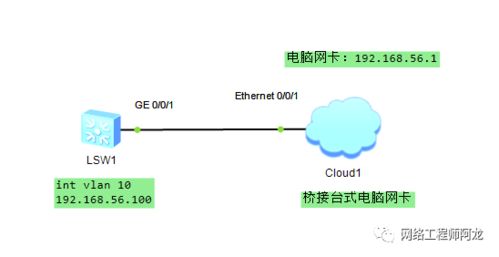 就算没有真机，你也能用eNSP玩Python自动化——网络工程师入门实战指南